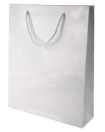 Custom Printed Glossy Paper Bags Size B
