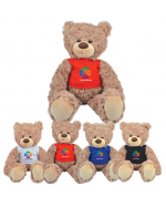 30cm Promotional Teddy Bears