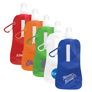 water pouch with carabiner