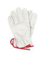 Rigger Gloves 12Pack